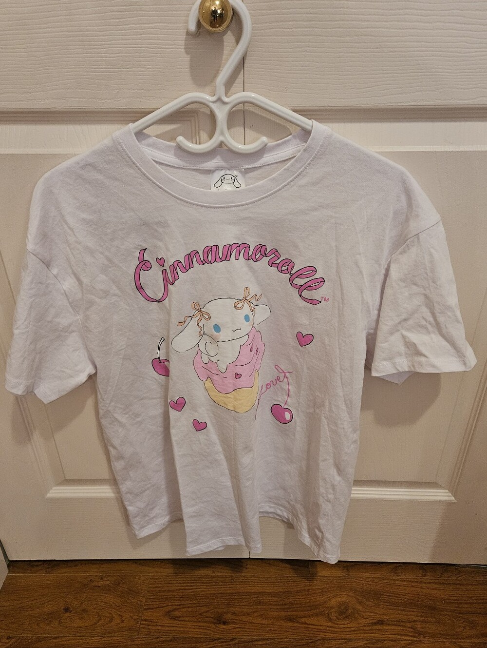 Cinnamoroll Graphic Tee (2024)